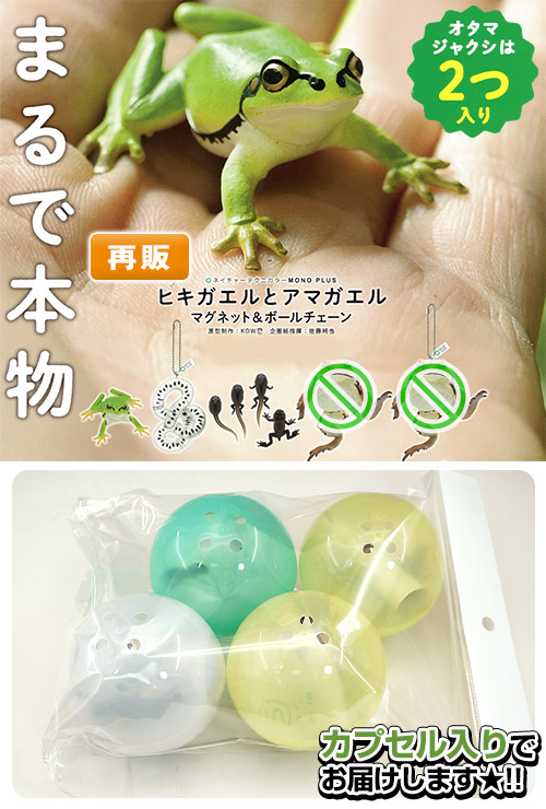 まるで本物アマガエル キーボールチェーン - 通販 - guianegro.com.br