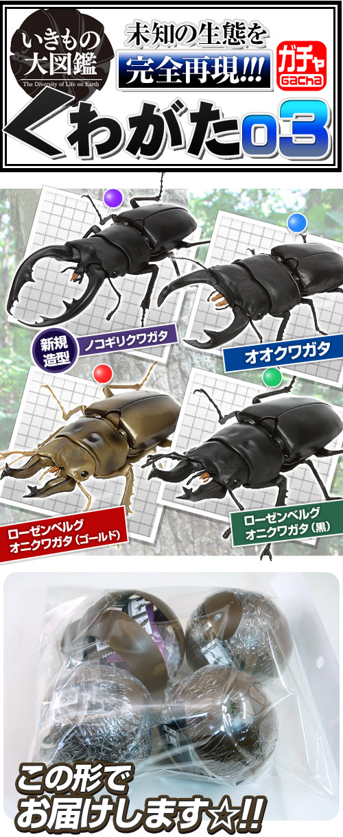 ガチャガチャ通販の ガチャガチャ王国 第4惑星 商品詳細 お買い得 ガチャ いきもの大図鑑 くわがた 03
