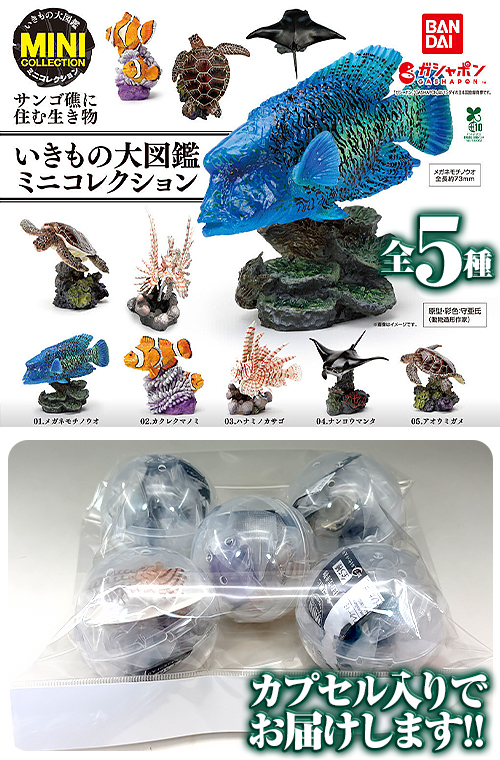 ガチャガチャ通販の「ガチャガチャ王国」|商品詳細 【お買い得