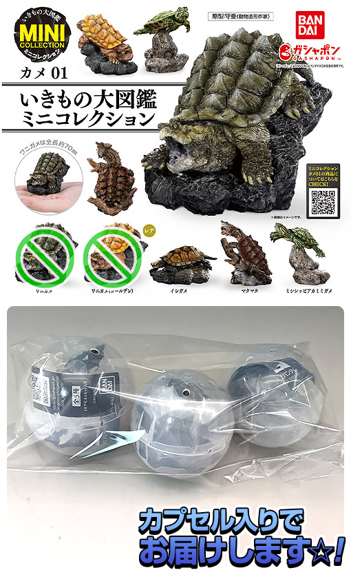 生き物大図鑑かめ　まとめ売り いきもの大図鑑ミニコレクション カメ01 オンライン版
